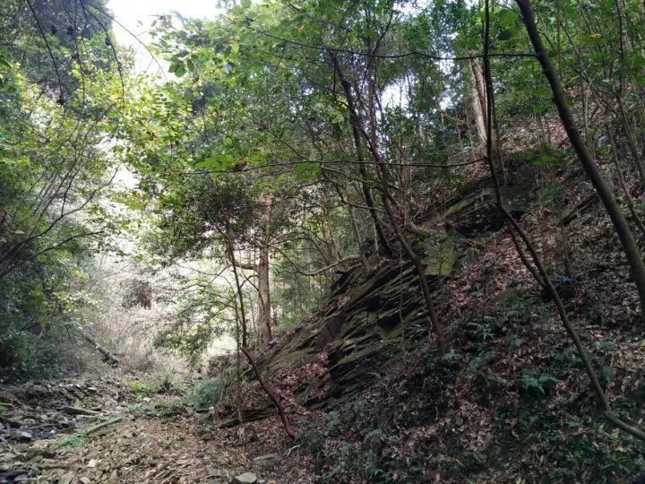 瑜伽哲学与生活实践:如何将瑜伽理念融入日常生活