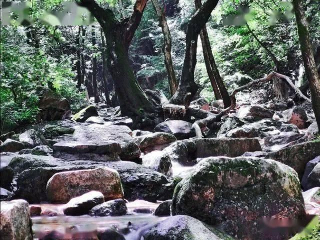 逃离外祖母家