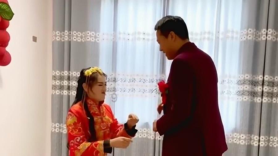 浙江深山寻找一株美人茶