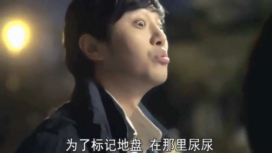 麦克斯：兄弟魔咒
