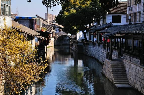 桉树施什么肥料最好?肥合肥还是颗粒肥游戏画面